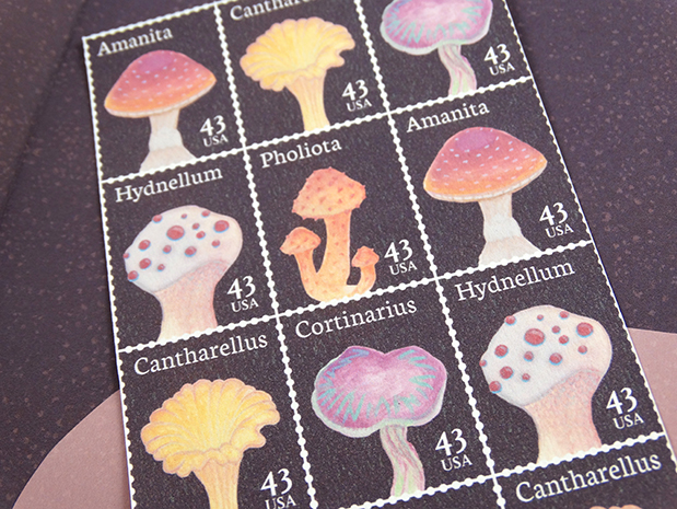 Mushrooms 3